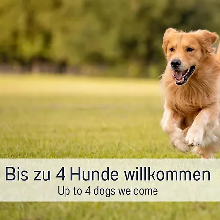 Burghalde: Sauna | Kamin | Garten | Eingezaeunt