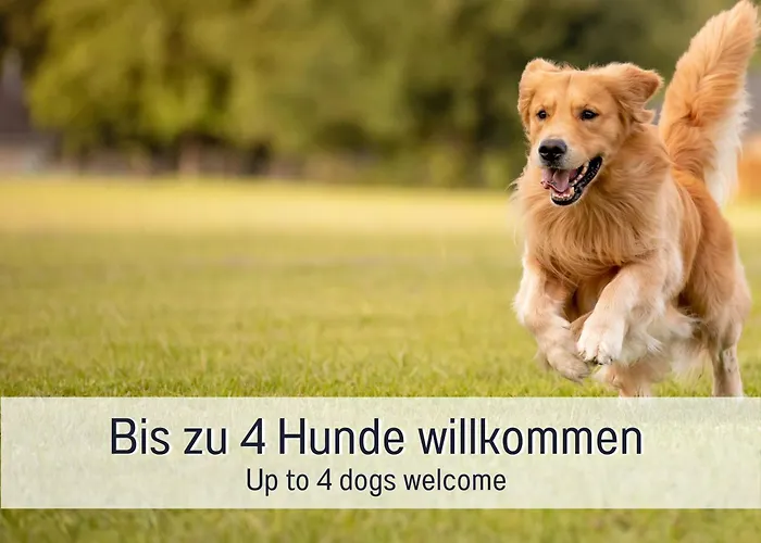 Burghalde: Sauna | Kamin | Garten | Eingezaeunt